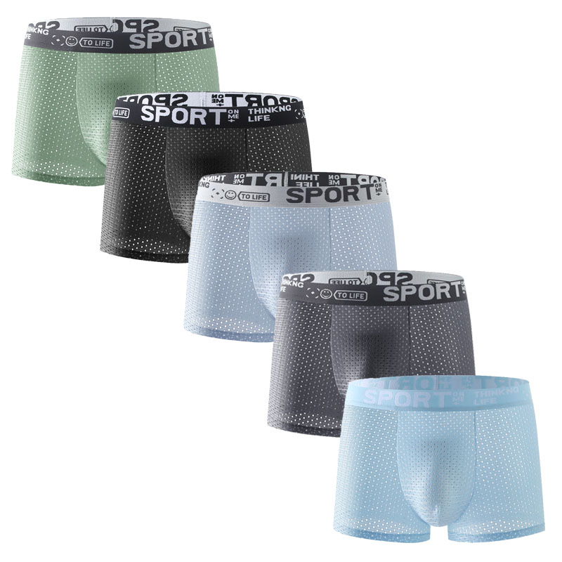 5PCS Men's Ice Silk Mesh Boxer - đánh giá và giá Mesh Sport Boxer