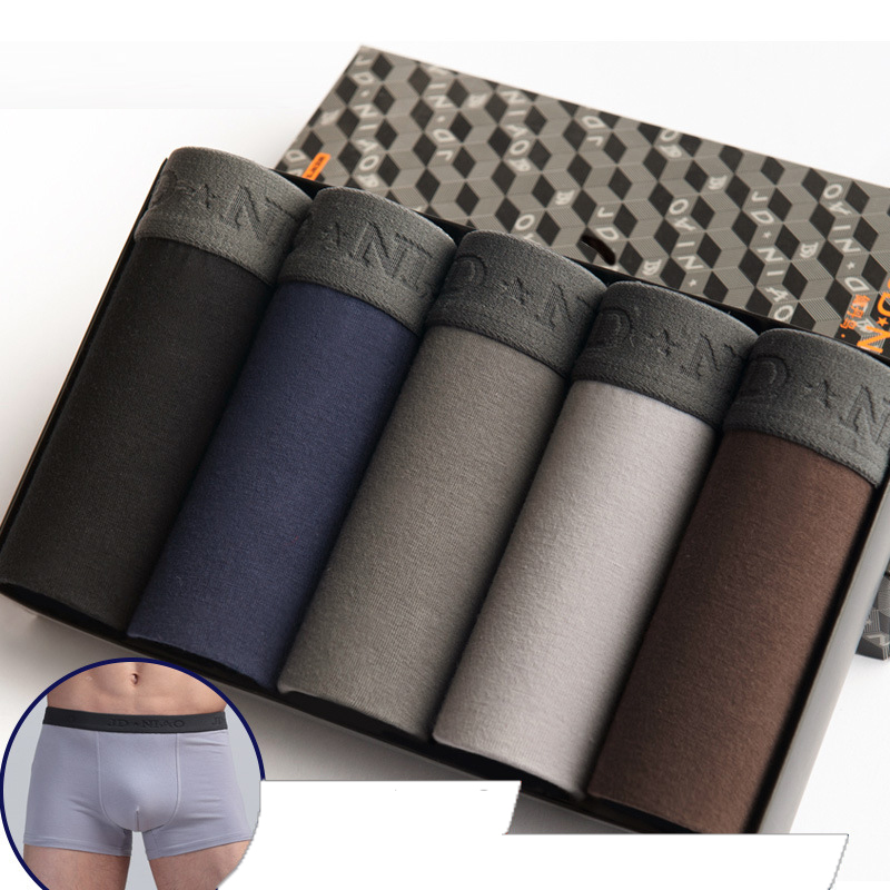 5 Cái/lốc Quần Lót Nam Boxer C - đánh giá và giá Multi Pack Underwear