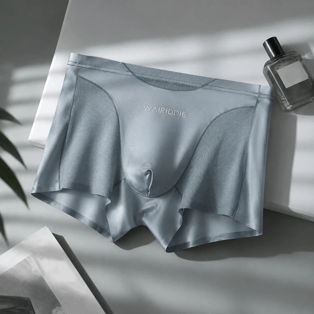 Simple Mesh Ice Silk Underwear - đánh giá và giá Mesh Sport Boxer